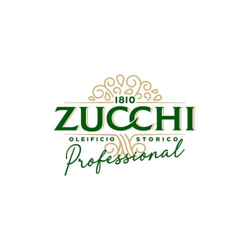 LOGO ZUCCHI PROFESSIONAL QUADRI vettoriale