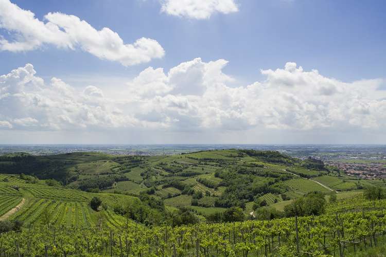 Soave Classico 10