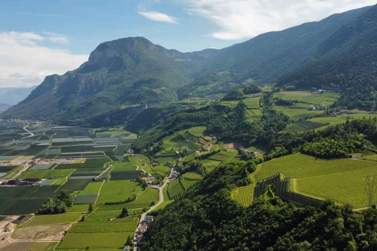 dji fly 20250515 103204 381 1747299271541 photo optimized