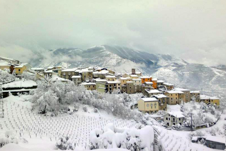 cerzasauro