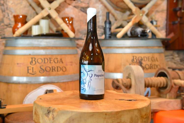 Foto Miguel Cabrera Viera BODEGA GAVIAS EL SORDO2