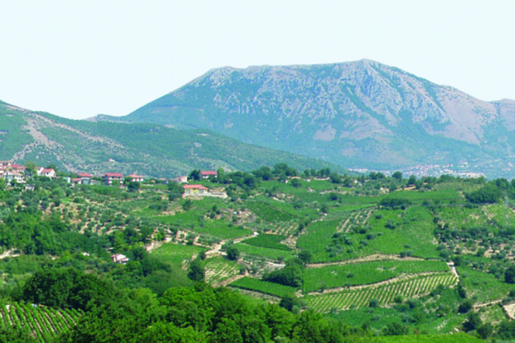 Taburno da campoli