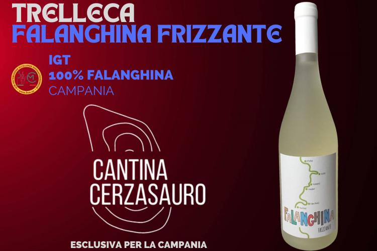 cerzasauro 1