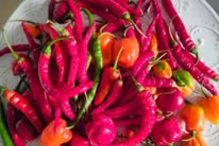 PEPERONCINI MISTI VASSOIO
