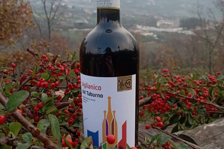 aglianico docg