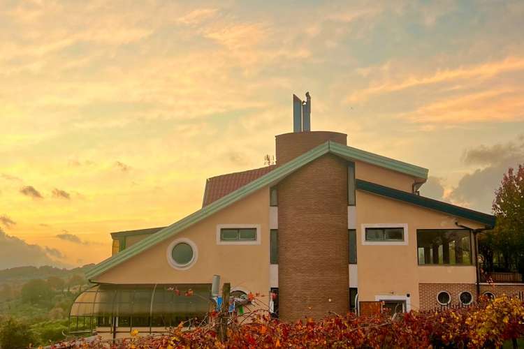 AZIENDA AL TRAMONTO 3