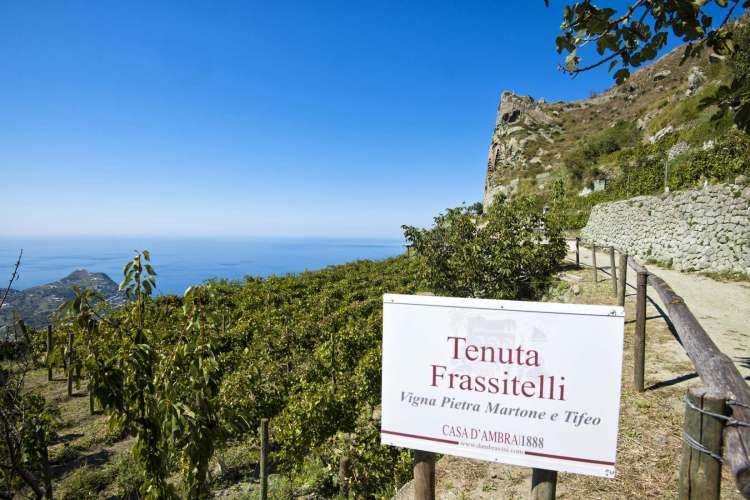 Frassitelli 2018 678