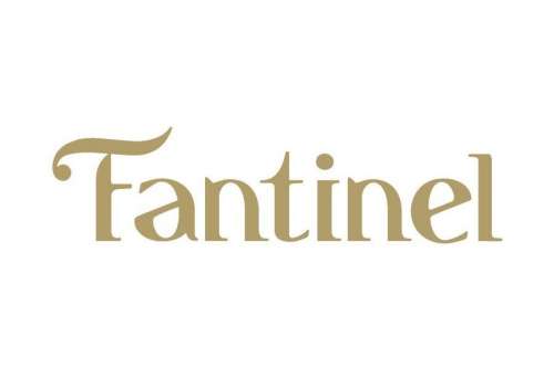 Logo Fantinel Gold page 001 e1538402815257