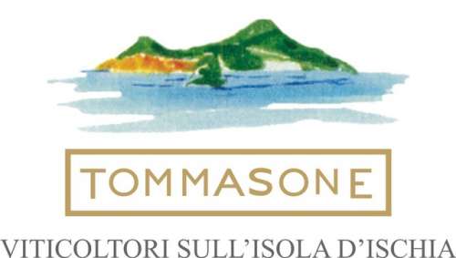 logo TOMMASONE2