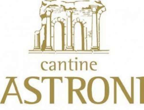 logo astroni FONDO BIANCO 300x230