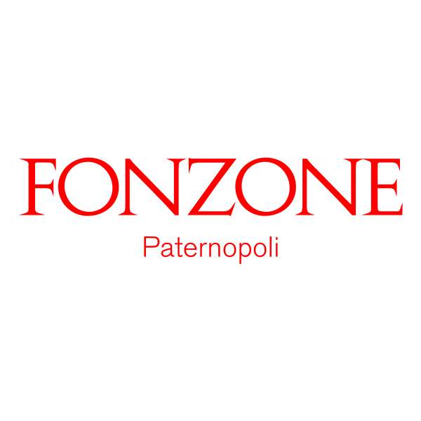 logo Fonzone2