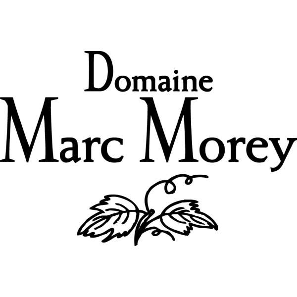 logo Marc Morey