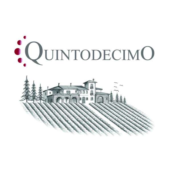 quinto2