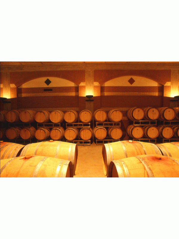 3. CANTINA DI INVECCHIAMENTO