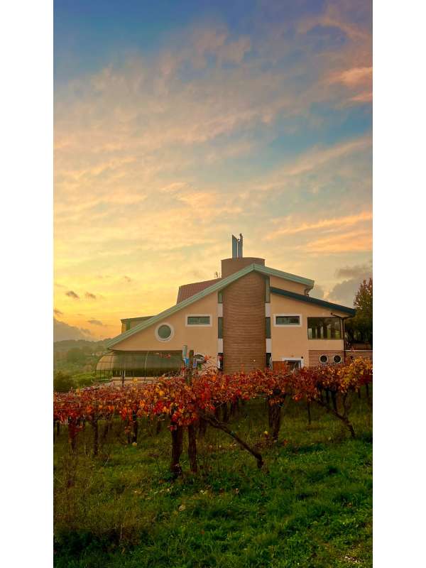 AZIENDA AL TRAMONTO 2