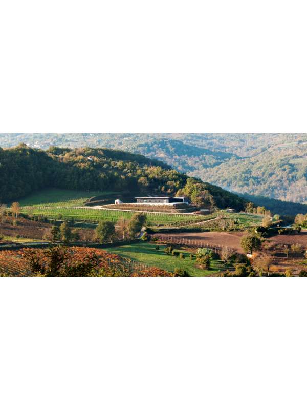 azienda