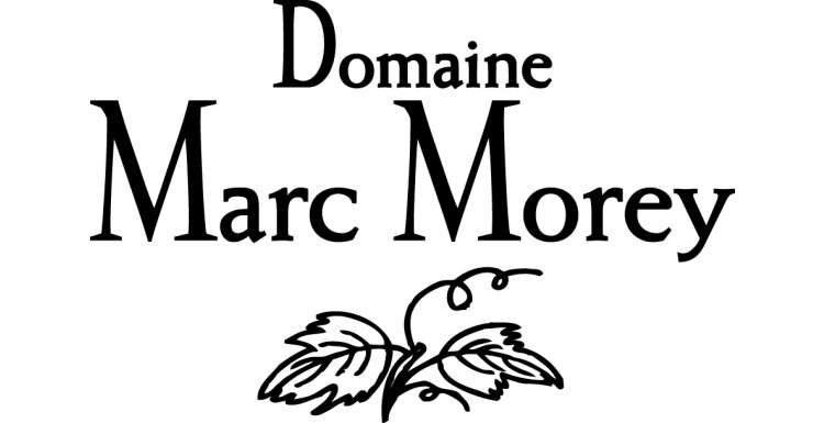 logo Marc Morey