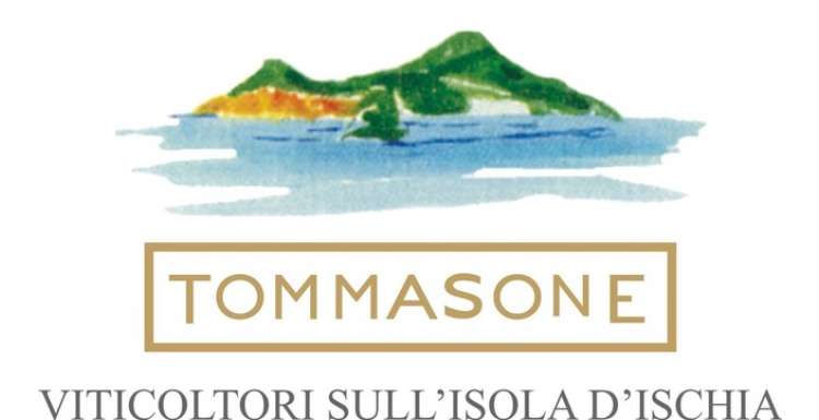 logo TOMMASONE3