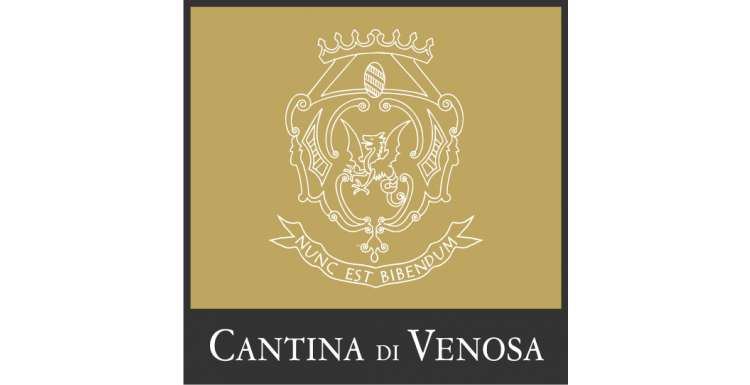 venosa2