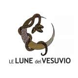 LOGO LE LUNE DEL VESUVIO 