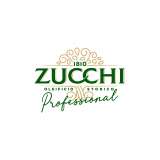 LOGO ZUCCHI PROFESSIONAL QUADRI vettoriale