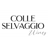Logo Colle Selvaggio Wines compressed