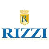 Logo Rizzi