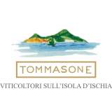 logo TOMMASONE2